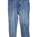 Brandy Melville J. Galt high rise skinny size medium jeans. Photo 0