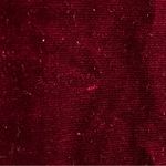 Agnes & Dora NWT  Deep Wine Velvet Everyday Scoop Neck Tee | Red | Small Photo 4