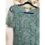 Coldwater Creek Green Floral Mesh Overlay Maxi Dress XS Photo 2