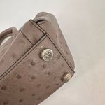 Diane Von Furstenberg NWT  Embossed Ostrich Mushroom Satchel Stella mini‎ Bag Photo 10