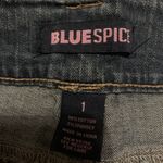 Blue Spice Shorts Photo 2