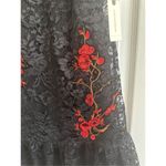 Nicole Miller NWT  New York Anthropologie Sequin Midtown Lace Dress Dress Size 6 Photo 4