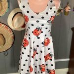 Ladybug Polkadot White Dress Small Photo 2