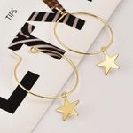 Boutique Hoop Star Earrings  Photo 0