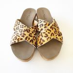 Boutique by Corkys Hazel Too Leopard Cheetah Wedge Doublestrap Slide Sandals 9 Brown Photo 11