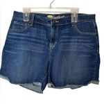 Old Navy  Sweetheart Dark Blue Jean Shorts 14 Photo 0