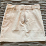 Babaton Aritzia  Skirt Mini Photo 0