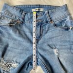 Refuge  Charlotte Russe Distressed Blue Jeans Photo 7