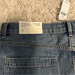 American Eagle Womens Highest Rise '90s Boyfriend Denim Short, size 18/34 Photo 2