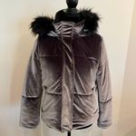 EXPRESS Dark Grey Velour Padded Puffer Jacket with Fur Hood Size Medium NWT! Photo 0