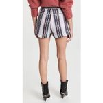 IRO  Tolie Pleat Front Short‎ Stripe High-Waist Shorts Photo 5