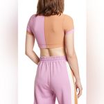 l*space L
Revolutions Ribbed Colorblock Crop Top Photo 1