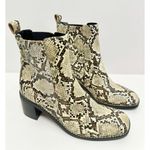 Nordstrom Rack Ankle Booties Size 7 Leather Snake Print Block Heel NEW Photo 2