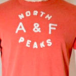 Abercrombie & Fitch vintage Y2K "North A&F Peaks"distressed-T shirt SZ LARGE Muscle Photo 0