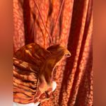 Crown & Ivy Orange Bohemian Top Blouse Animal Print Flowy loose fit long sleeve leopard M Photo 3