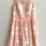 AQUA Peach Lace Floral Mesh Belted Party Dress, Tulle Cocktail Dress, Size 10 Photo 0