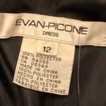 Evan Picone EVAN - PICONE Black Sheer Spotted over Satin Lining Dress Satin Straps 12 Photo 13