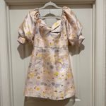 Hutch Floral Jacquard Puff Sleeve Mini Dress Photo 4