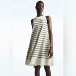 COS  Pleated Dress Photo 1