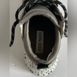 Steve Madden  Cliff Sneakers. Photo 8