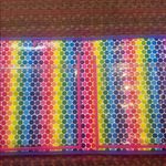Lisa Frank  TIKANNI RAINBOW HUSKEY FILE FOLDER TRAPPER KEEPER TRIFOLD PORTFOLIO Photo 4