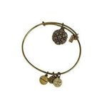 ALEX AND ANI  Gold Charm Bracelet Snowflake 2016 Casual Collectible Stretch Photo 0