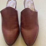 Chinese Laundry Heeled Mules Photo 0