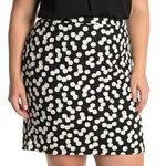 Leota Nordstrom Plus Size 2X Black White Polka Dot Pull-on Pencil Skirt Packable Photo 0