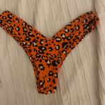 Blackbough Bikini Bottoms Photo 1