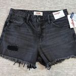 Wrangler NWT  Women's Vintage Shorts Mid-Rise 2/26 Black Wash Frayed Hem Beach 4" Photo 0