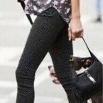 CAbi  #5175‎ Polka Dot Black Trousers Size 6 Photo 0