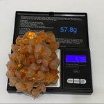 1950s West Germany Signed Plastic Flower Necklace Photo 7