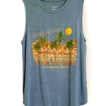 Homegirl Society Blue Coachella Valley Tank Top Medium Photo 0