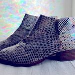 Gianni Bini Snake Skin Print Ankle Boots Photo 2
