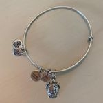 ALEX AND ANI Silver Turtle Bangle Photo 0