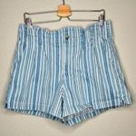 American Eagle Outfitters Womens Mom Shorts Size 14 Blue/White Striped nautical Photo 1