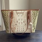 Brahmin Medium Asher Fern Williamette Leather Tote Bag Photo 0