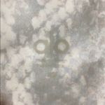 Alo Yoga  white python cropped leggings Photo 4