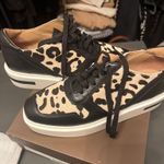 Linea Paolo Paolo Linea Photo 0