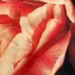 Nwot Nadeem khan floral print silk dress Size 6 Photo 6