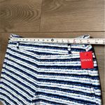 Spanx Sunshine 6" Painted Stripe High Rise Summer Swim Shorts Blue White Size 1X Photo 3