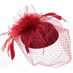 Elegant Feathered Fascinator Red Photo 4