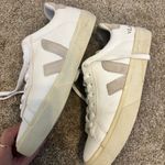 VEJA  Campo Sneakers Photo 1