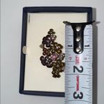 CRAZY HORSE By LIZ CLAIBORNE COMPANY Floral Enamel & Rhinestone BROOCH Brown Photo 3