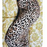 ZARA Leopard Print Maxi Skirt Photo 1