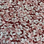 SheIn Top Womens Small Floral Short Sleeve Red Pink Photo 4