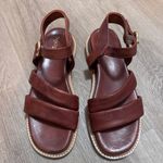 Seychelles  Tangelo Brown Sandals Women’s 9 Buckle Strappy Platform Photo 3