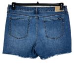 Seven7 SZ 16 Weekend Jean Shorts Stretch Frayed Hems Hi-Rise Whiskered Zip-Fly Photo 2