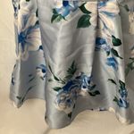 Sequin Hearts : Blue/White Flower Dress- Open Back with zipper back- tulle hem- 9 Photo 7