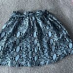 SheIn Skirt Photo 1